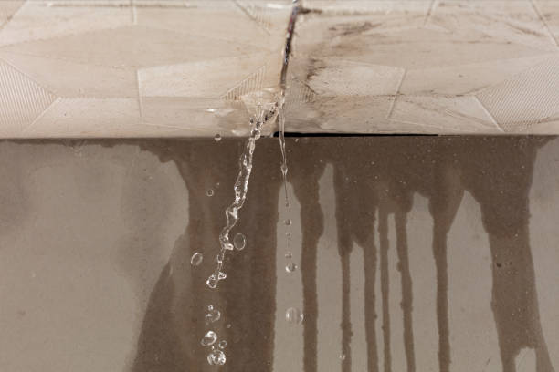 Professional Sewage Cleanup technician working in Patrick, SC
